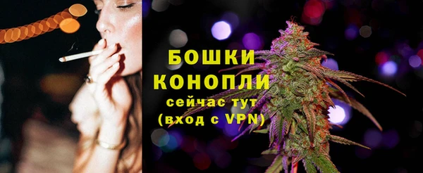 прущие крисы Болотное