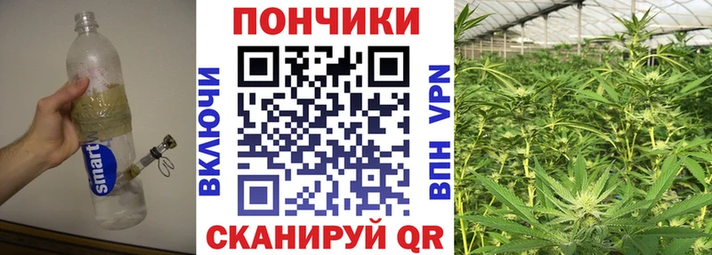 Каннабис SATIVA & INDICA Беслан